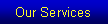 Text Box: Our Services