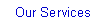 Text Box: Our Services